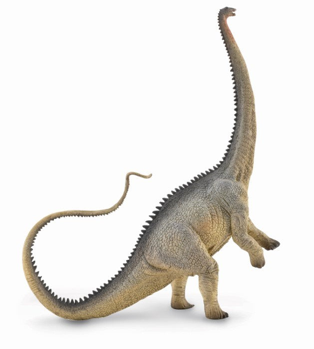 CollectA Diplodocus - Grey Figurine XL (6899036586166)