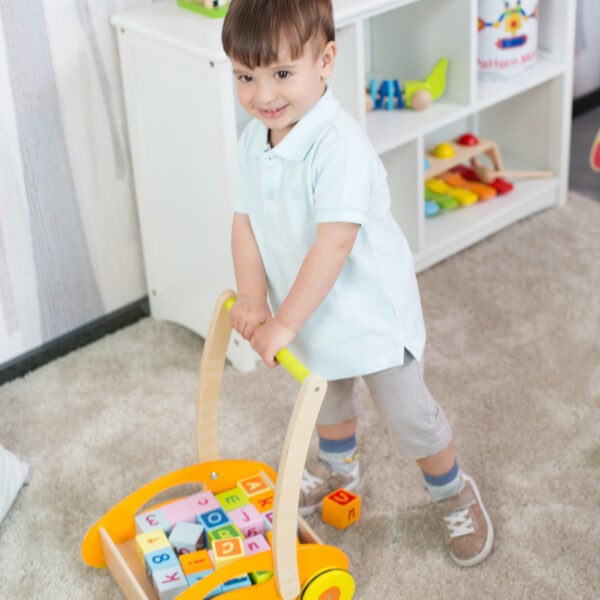Classic World Baby Walker With Blocks (8237401178338)