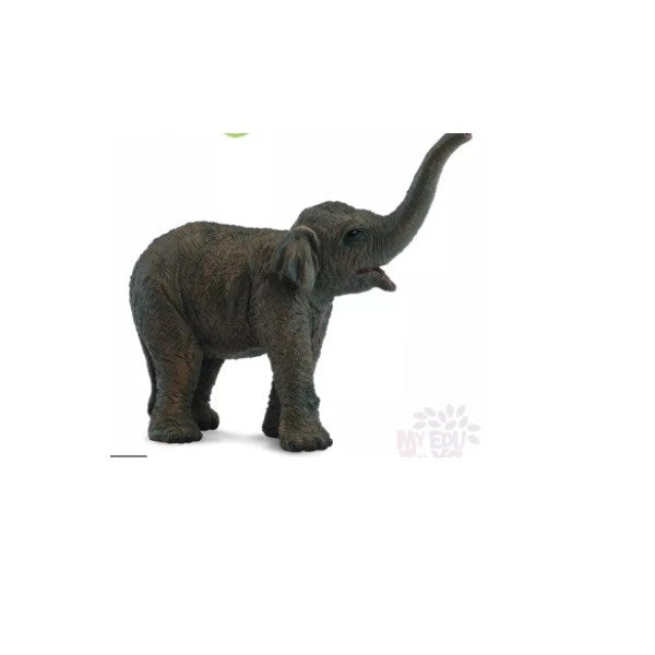CollectA Asian Elephant Calf Figurine S (8030075683042)
