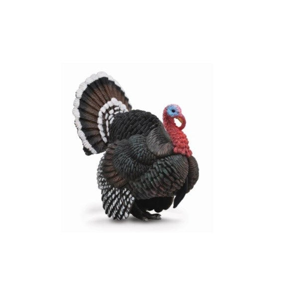 CollectA Turkey Figurine L (7726504378594)