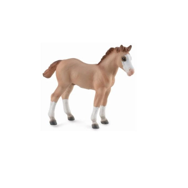 CollectA Quarter Horse Foal Red Dun Figurine M (8262278938850)