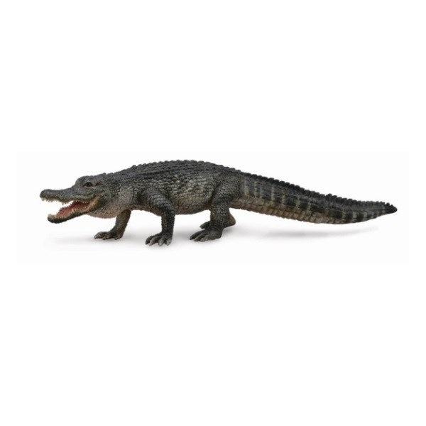 CollectA American Alligator Figurine L (7738934886626)