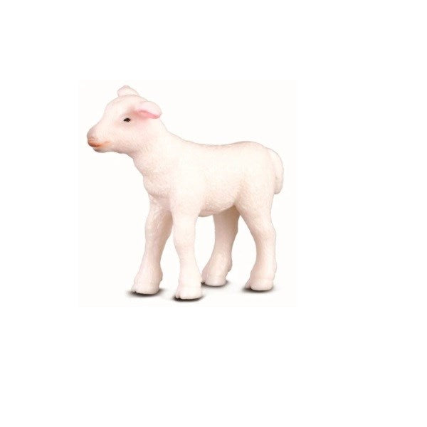 CollectA Lamb Standing Figurine S (8262282543330)