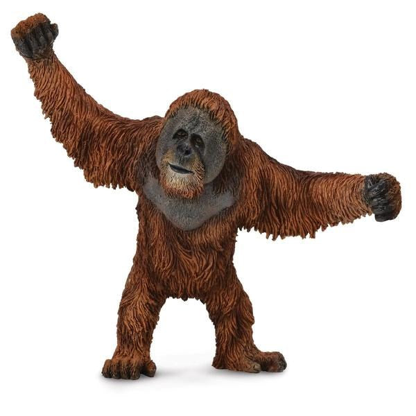 CollectA Orangutan Figurine L (8262281330914)
