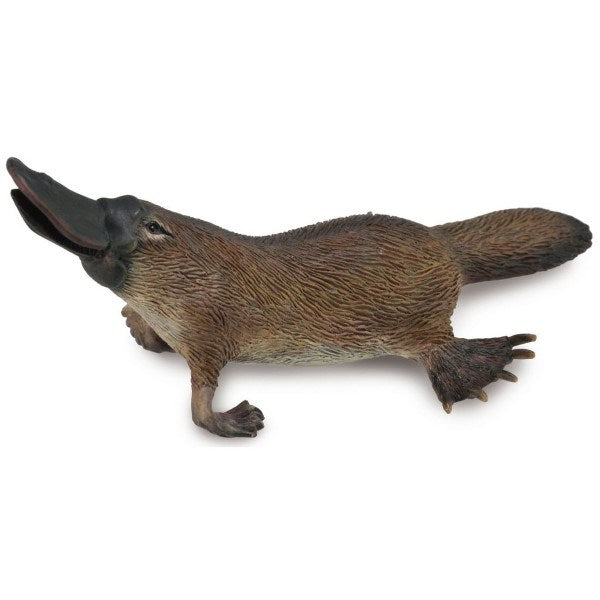 CollectA Platypus Figurine M (8262285164770)