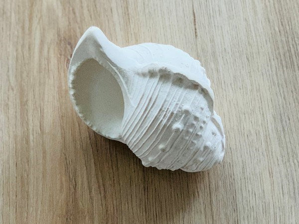 Lanco Karacola Whelk Shell Bath Toy (White) (6822853673142)