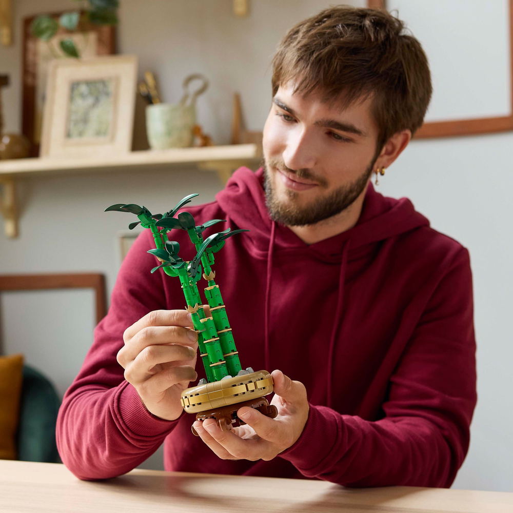 LEGO Botanicals Lucky Bamboo 10344 (8776116011234)