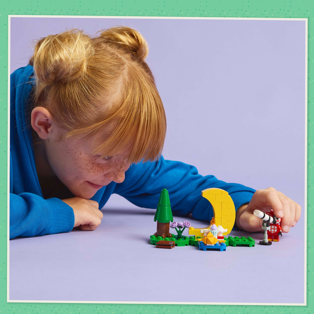 LEGO Animal Crossing Stargazing with Celeste 77053 (8776115814626)