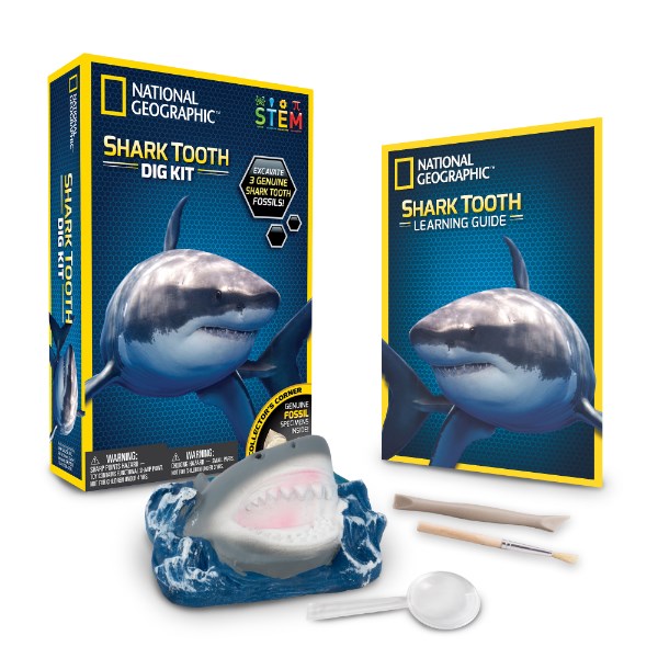 Dr Cool National Geographic Shark Dig Kit (6822776373430)