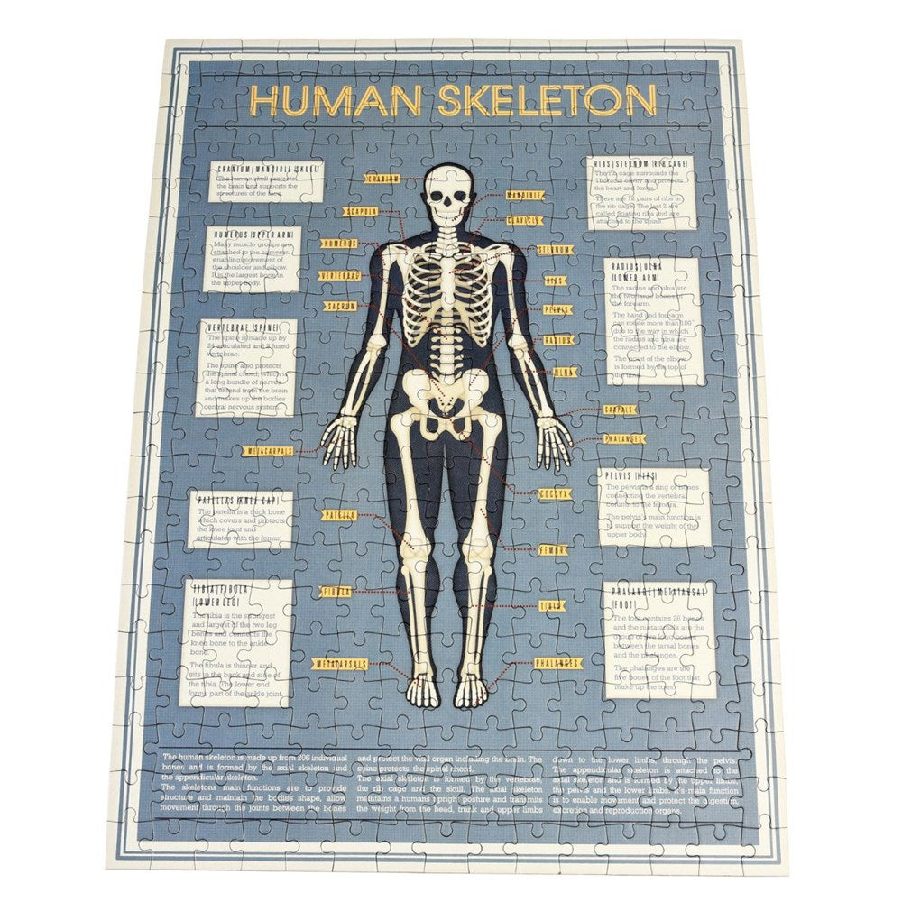 Rex London Anatomical Skeleton 300 Piece Puzzle In A Tube (7687390232802)