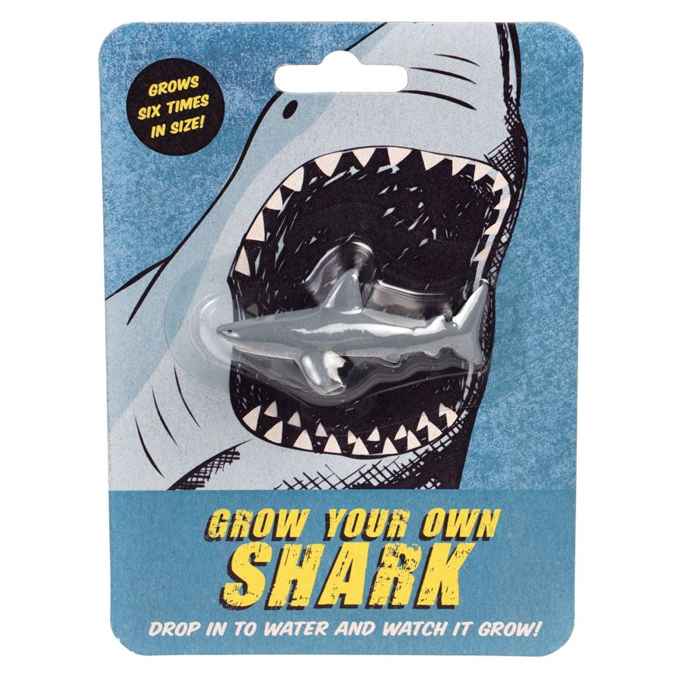 Rex London Grow your Own Shark (8291970384098)