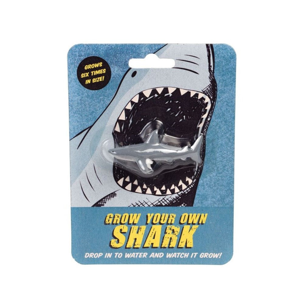 Rex London Grow your Own Shark (8291970384098)