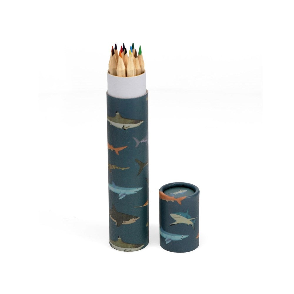 Rex London Long Tube Of Colouring Pencils - Sharks (8862071947490)
