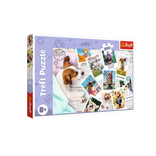 Trefl 300 Piece Puzzle Holiday Pictures (8291976511714)