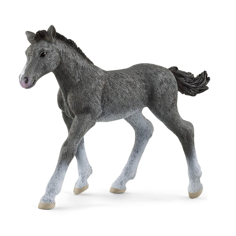 Schleich Trakehner Foal 13944 (7746705162466)