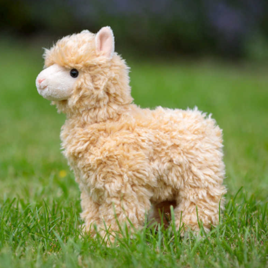 Tobar T37254 ANIMIGOS WORLD OF NATURE ALPACA (7875441754338)