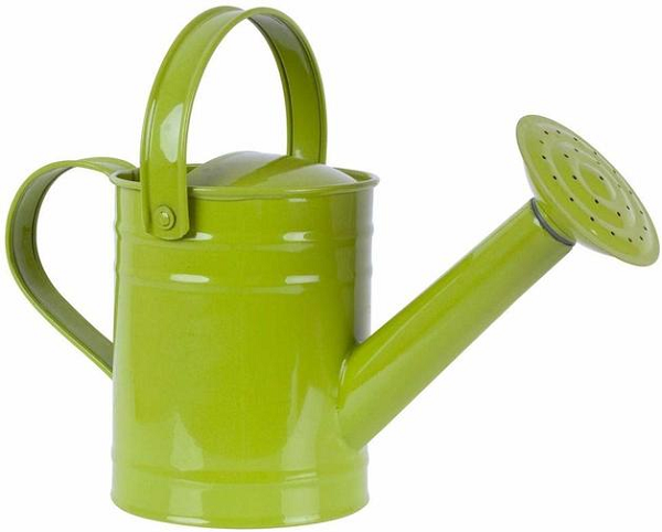 Twigz TW0803 Kid's Watering Can - Green 1.5L (8090108395746)