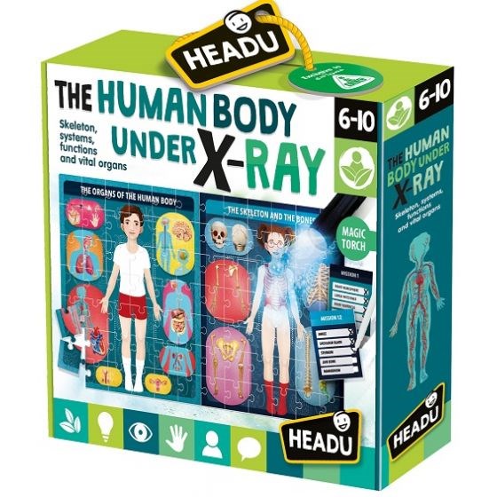 Headu The Human Body under X-Ray (8266168238306)