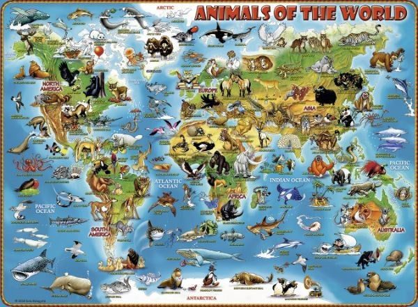 Ravensburger Animals of the World 300pc (8076835487970)