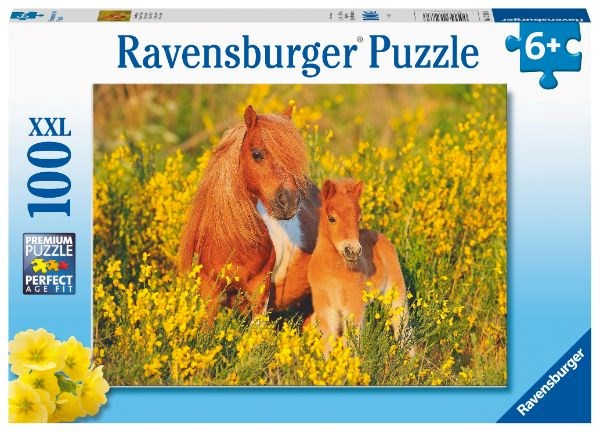 Ravensburger Shetland Ponies 100pc (8076835586274)