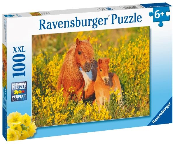 Ravensburger Shetland Ponies 100pc (8076835586274)