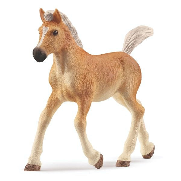 Schleich Haflinger Foal 13951 (8075023450338)