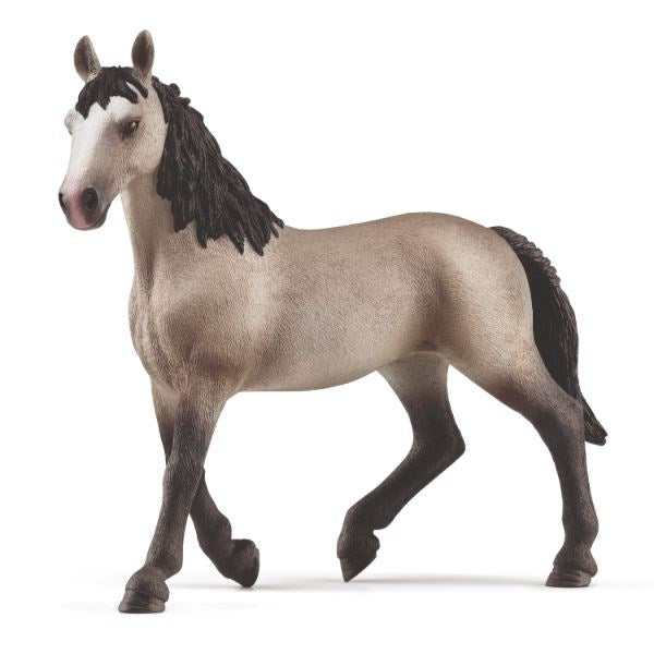 Schleich Selle Francais Mare 13955 (8075023548642)