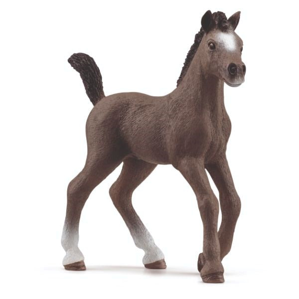 Schleich Selle Francais Foal 13957 (8075023483106)