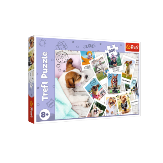Trefl 300 Piece Puzzle Holiday Pictures